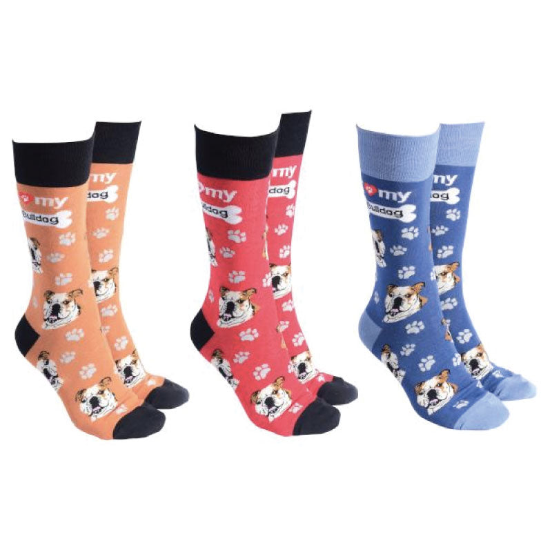 Bulldog Socks – Changing Seasons - Main Image