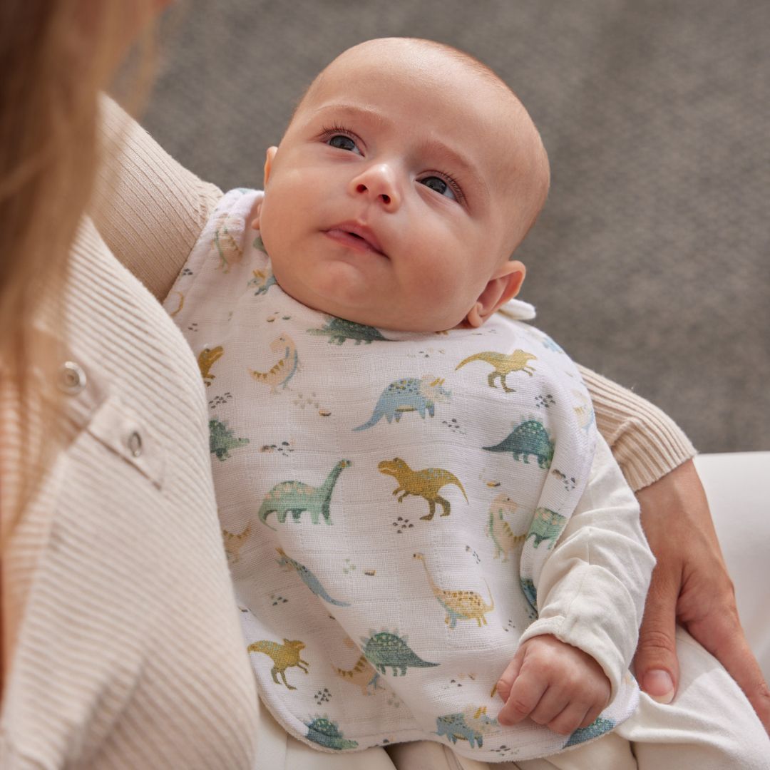 Dallying Dinosaurs Bib Set of 2