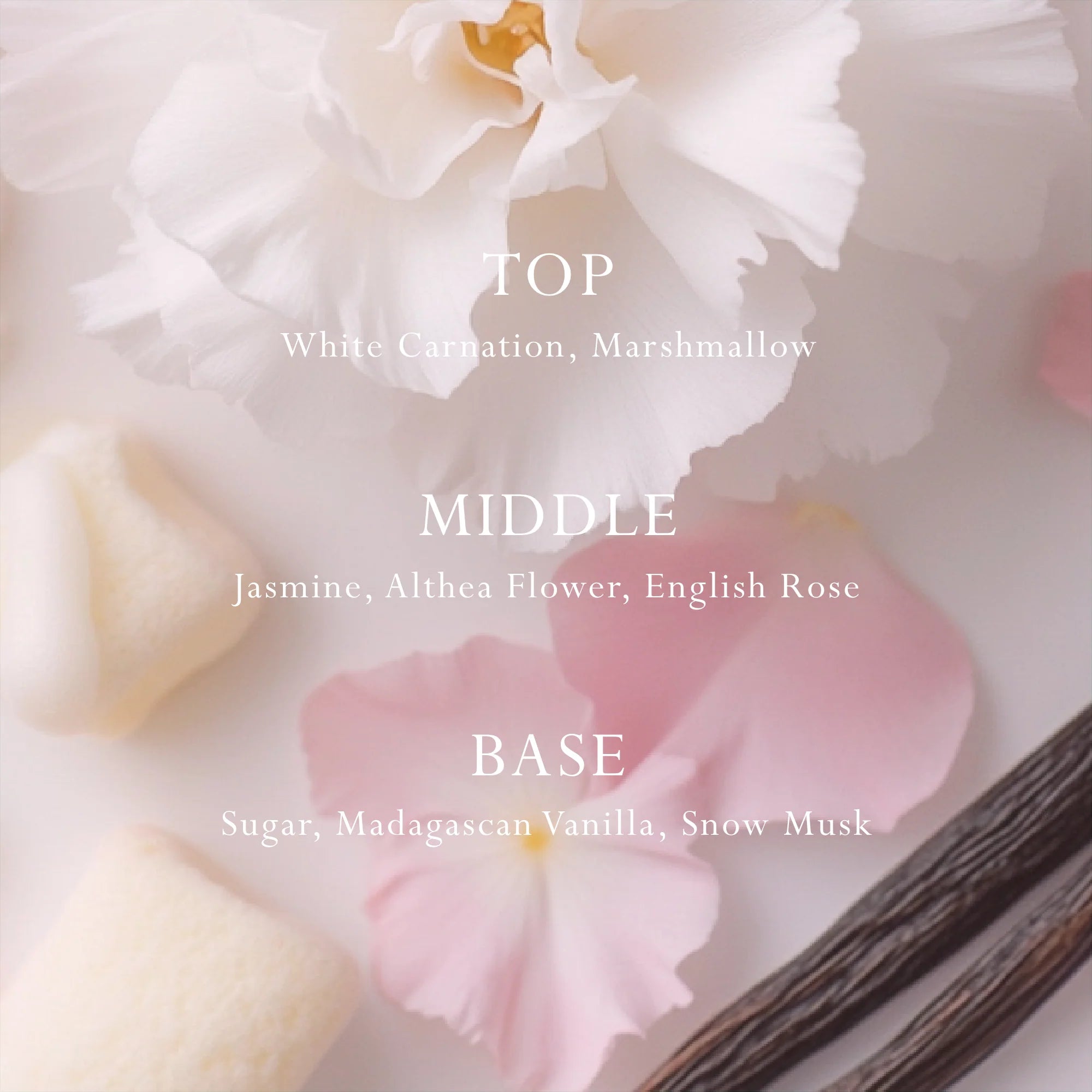 Marshmallow Car Diffuser rEFILL