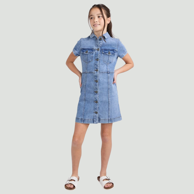 Jenny Denim Dress