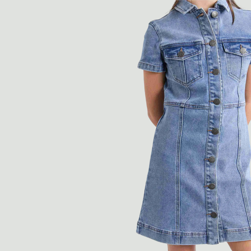 Jenny Denim Dress