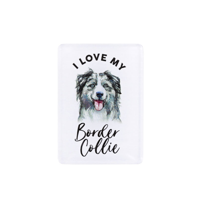 Border Collie Magnet