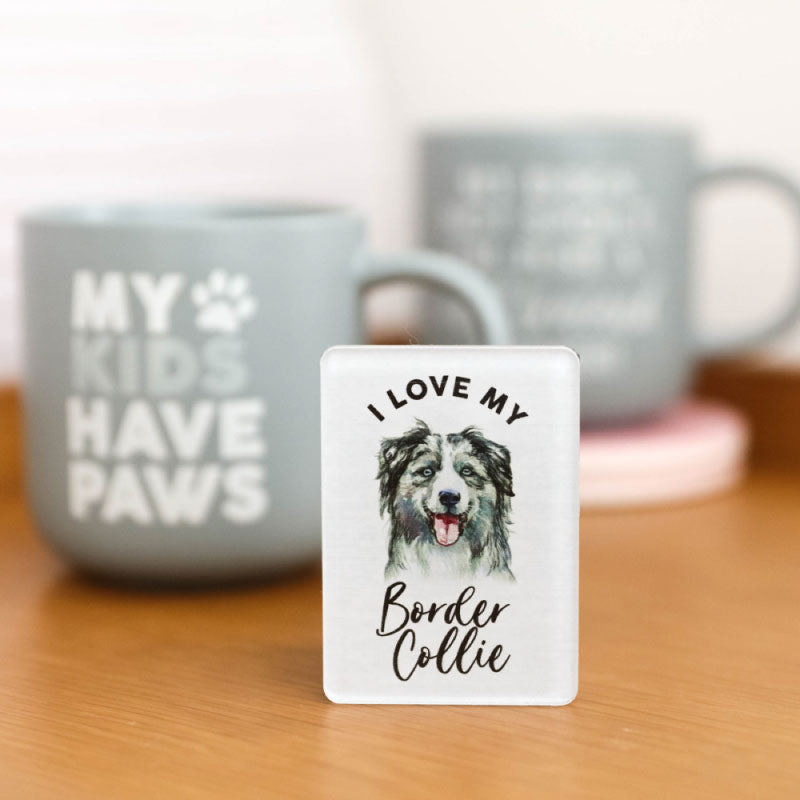 Border Collie Magnet