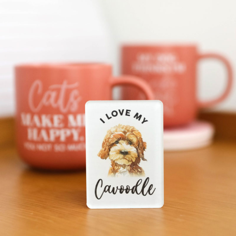 Cavoodle Magnet