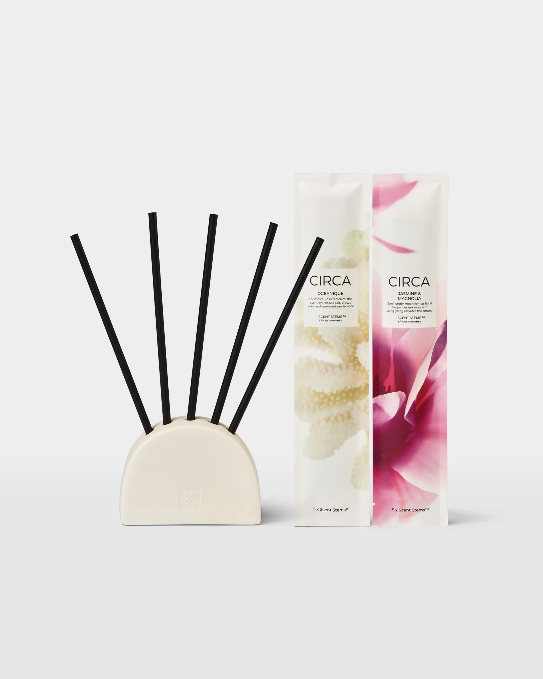Liquidless Diffuser Set Scent Stems Duo – Changing Seasons