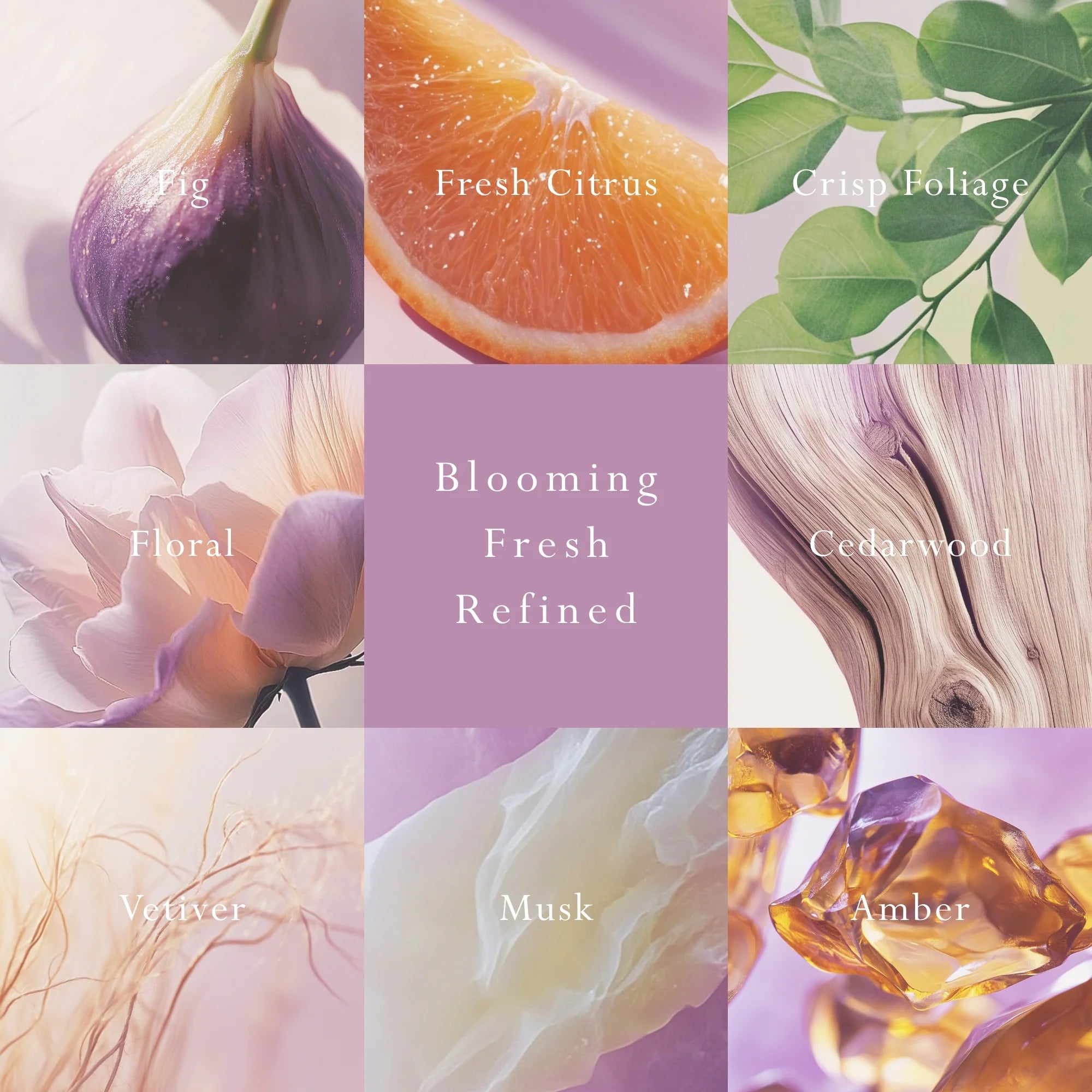 Primavera Reed Diffuser