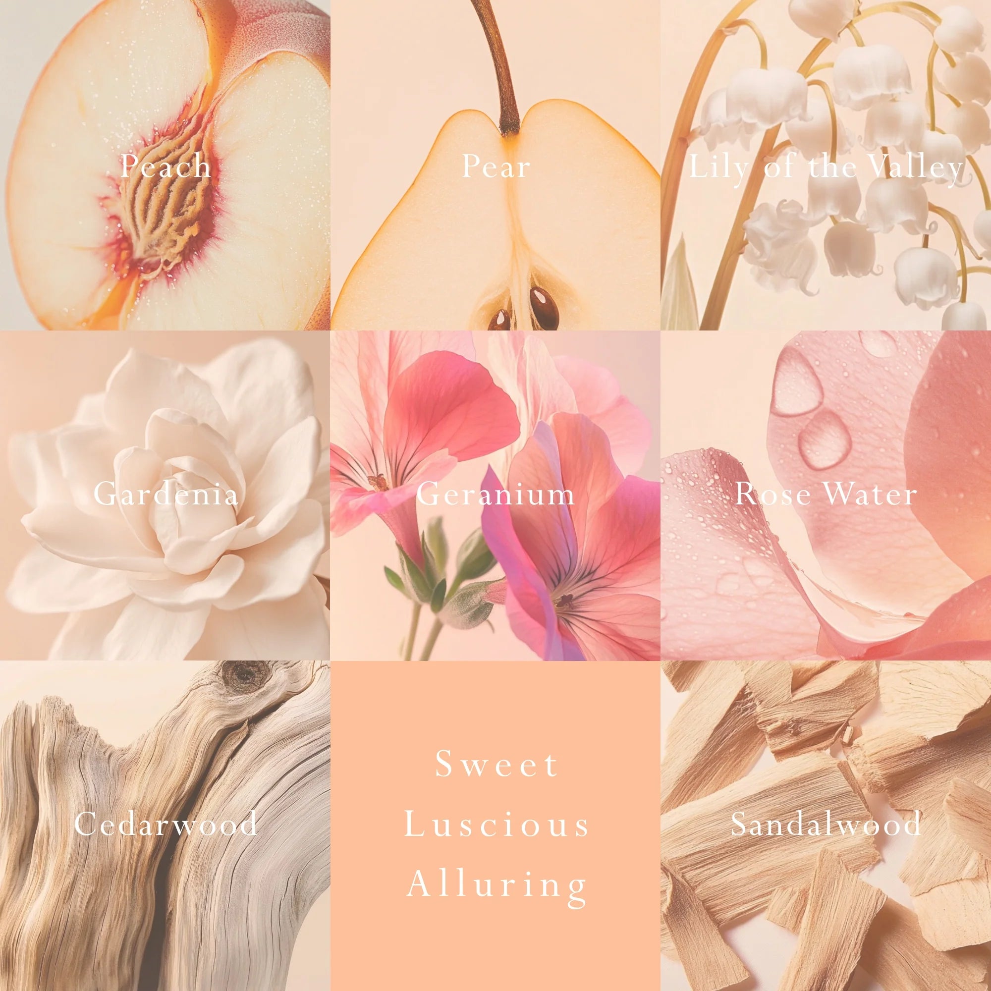 Peach Delight Reed Diffuser