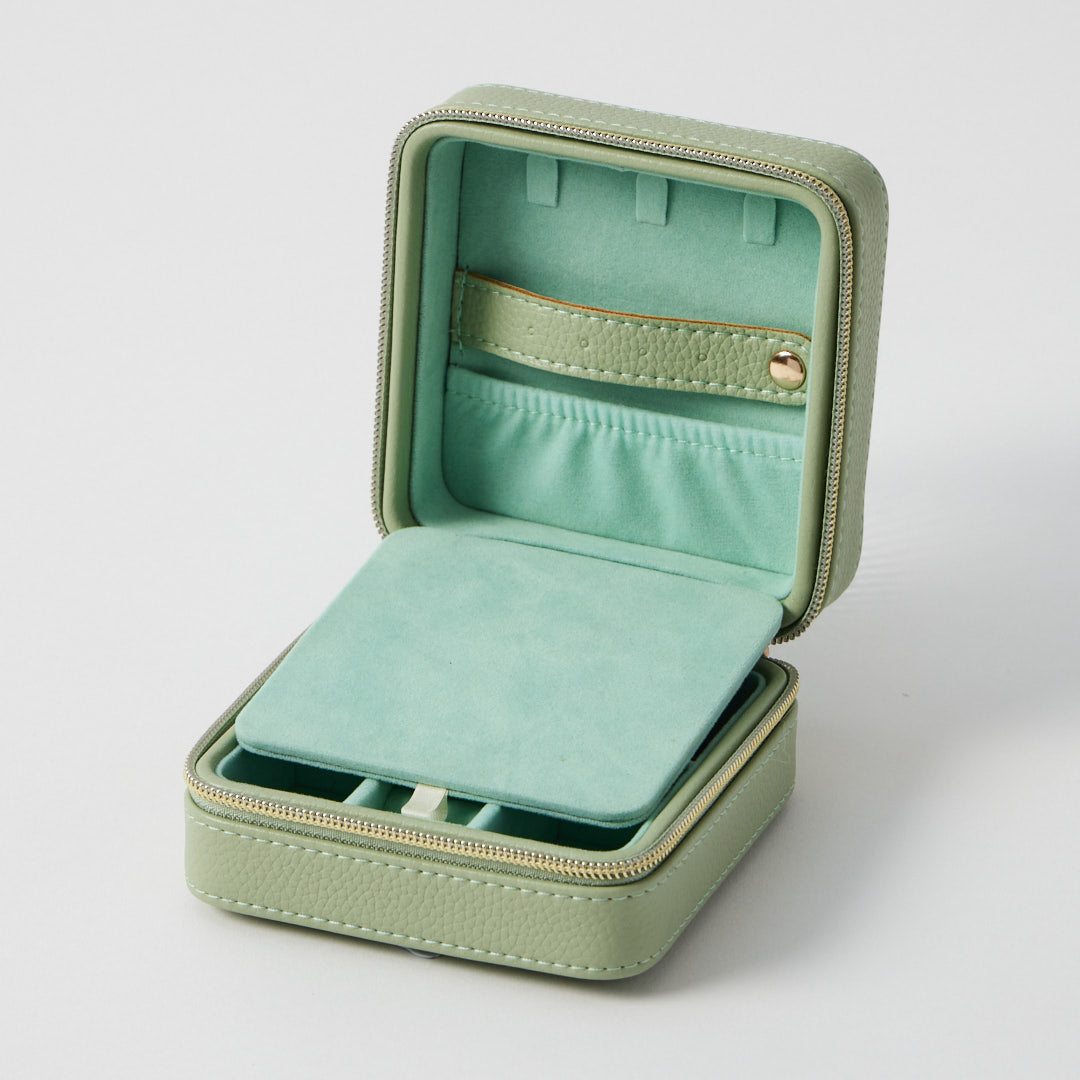 Celine Jewellery Case Sage