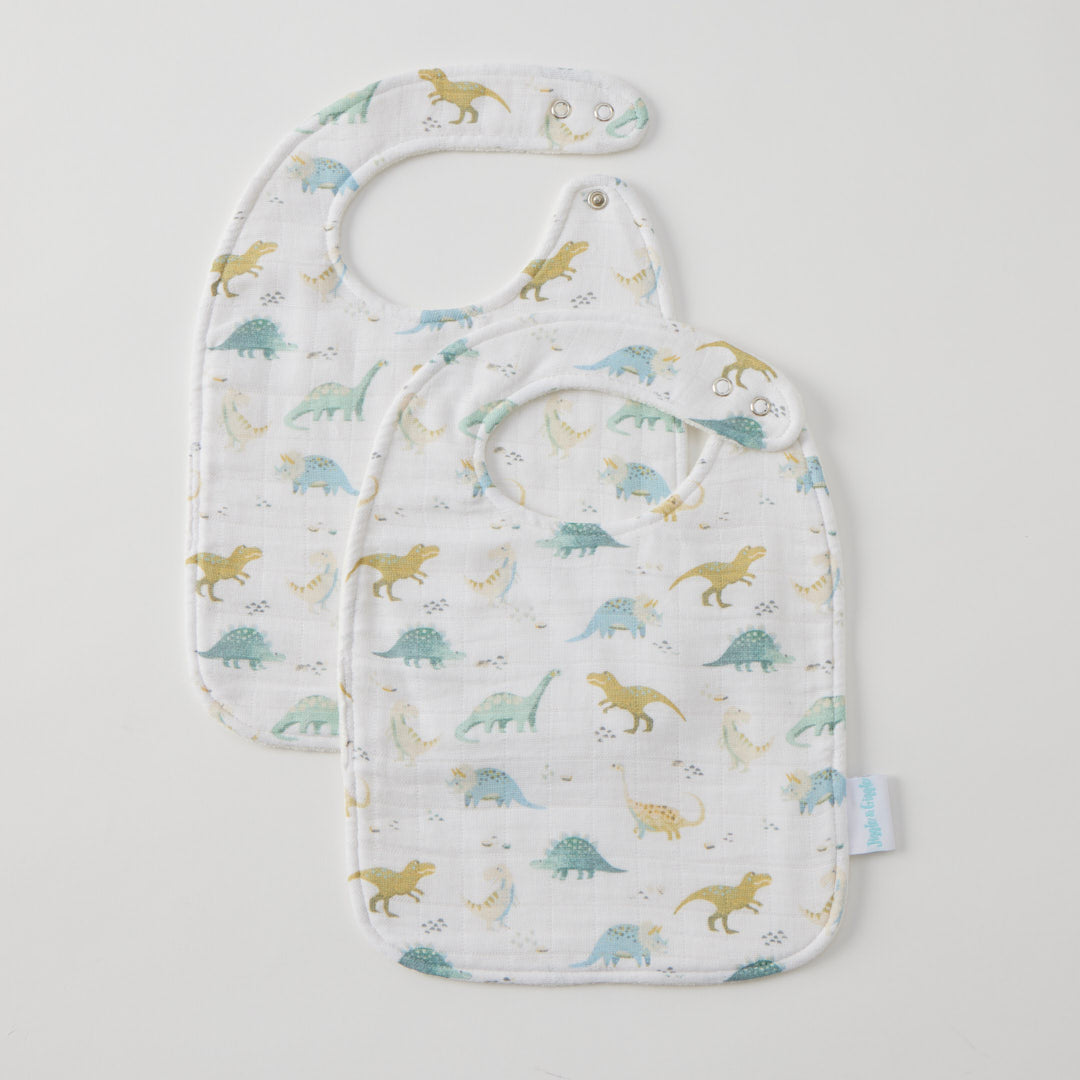 Dallying Dinosaurs Bib Set of 2