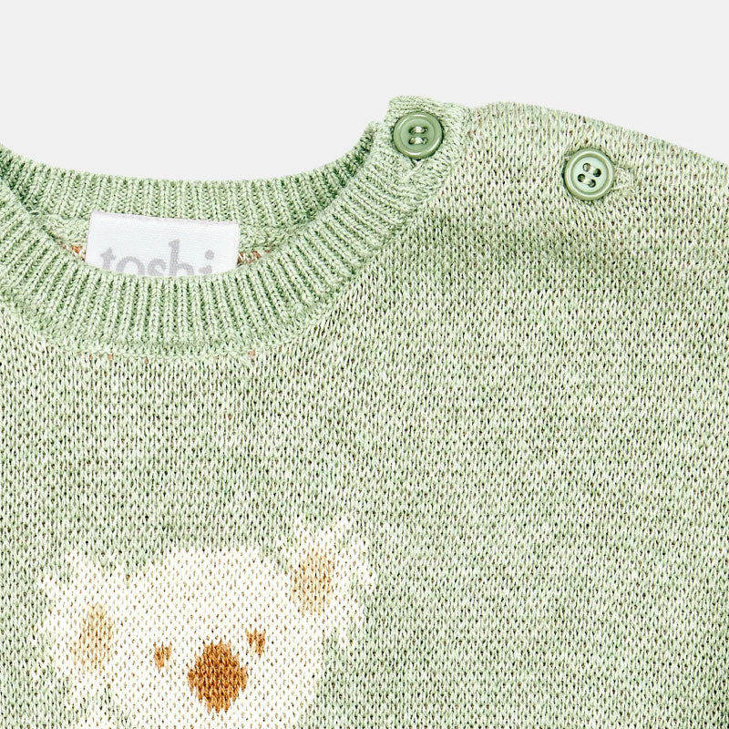 Organic Pullover Storytime Koala