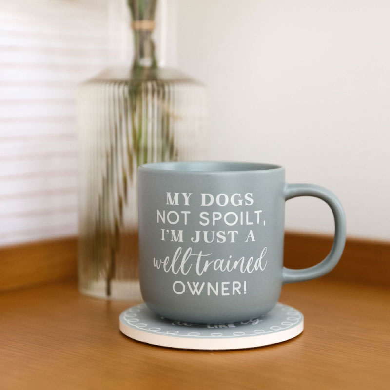 Pets Well Trained Mug