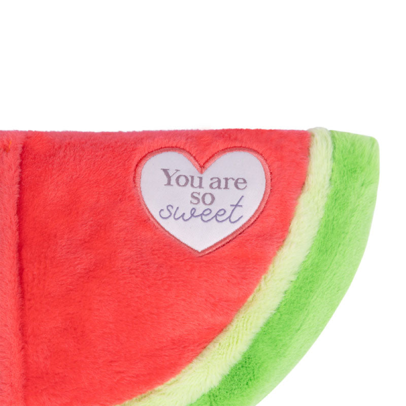 Toasty Hugs Watermelon