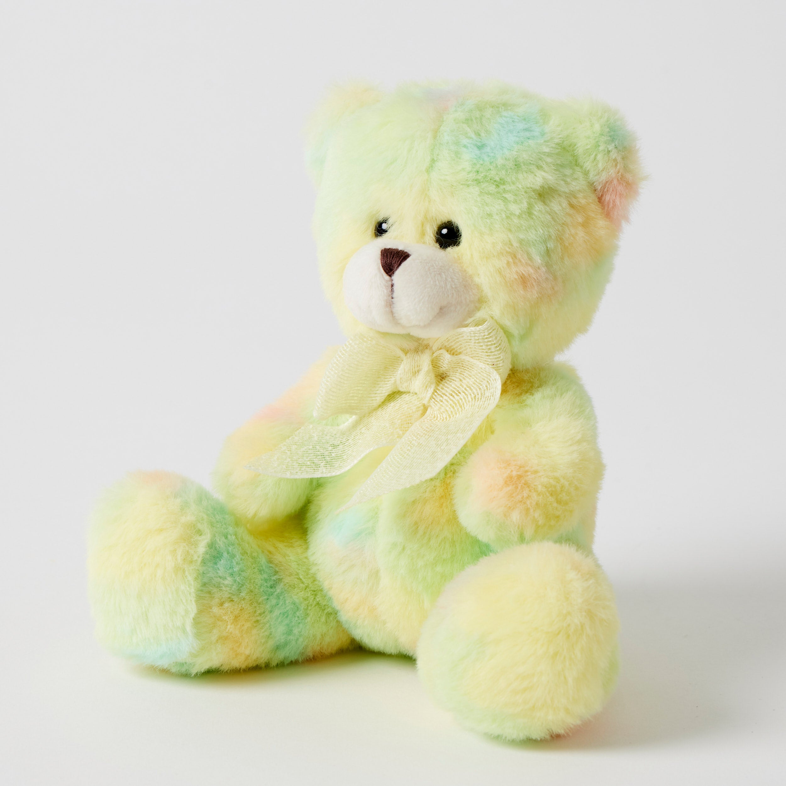Rainbow Bear