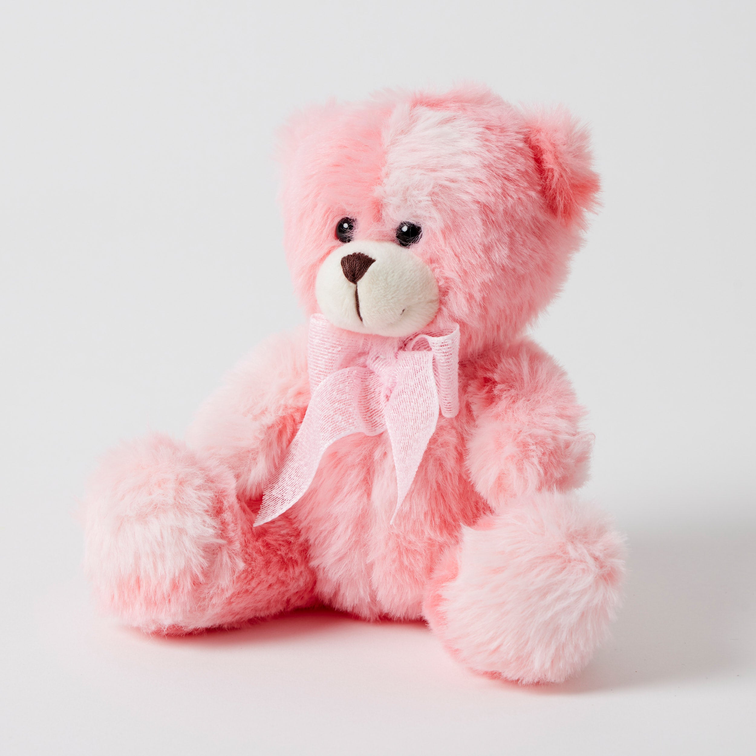 Rainbow Bear