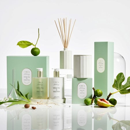 Alchemy White Tea & Wild Mint Candle