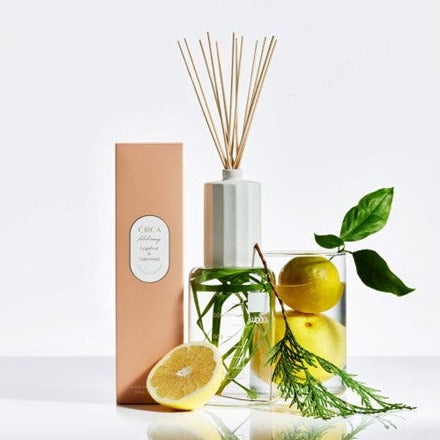 Circa Alchemy Grapefruit & Cedarwood Diffuser