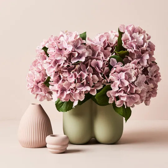 Hydrangea Bush  Dusty Pink 46cm