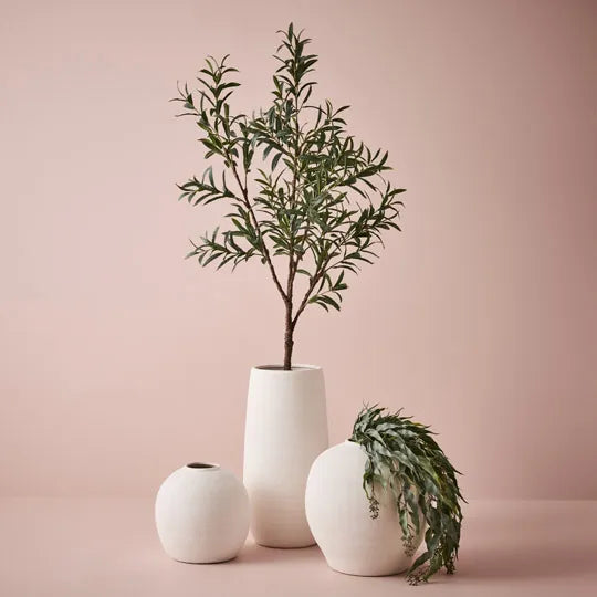 Eucalyptus Seed hanging Bush Dark Green 74cm
