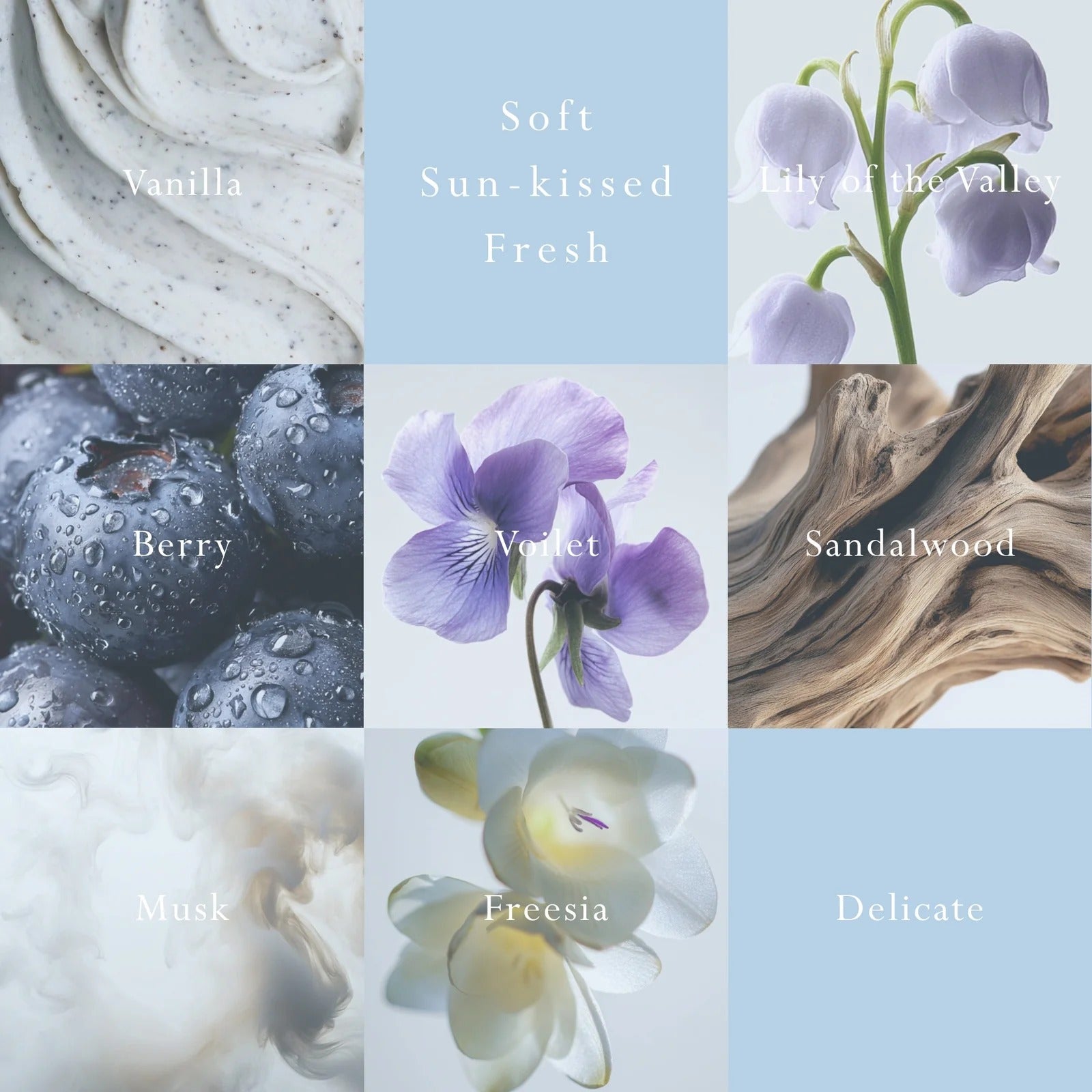 Vanilla Bloom Diffuser