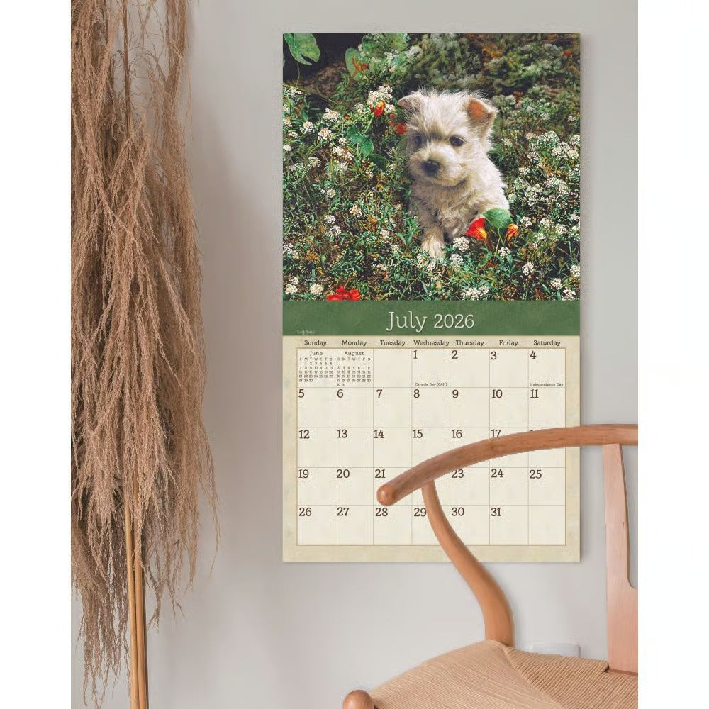 Puppies Calendar 2026