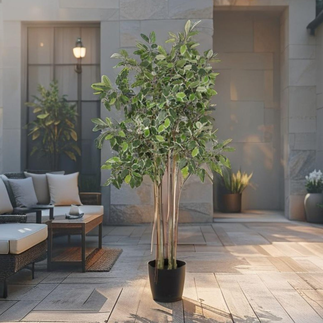 168cm Potted Artificial Variegated Ficus Tree