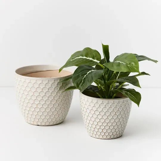 Pot Hunee14cm x 17cm