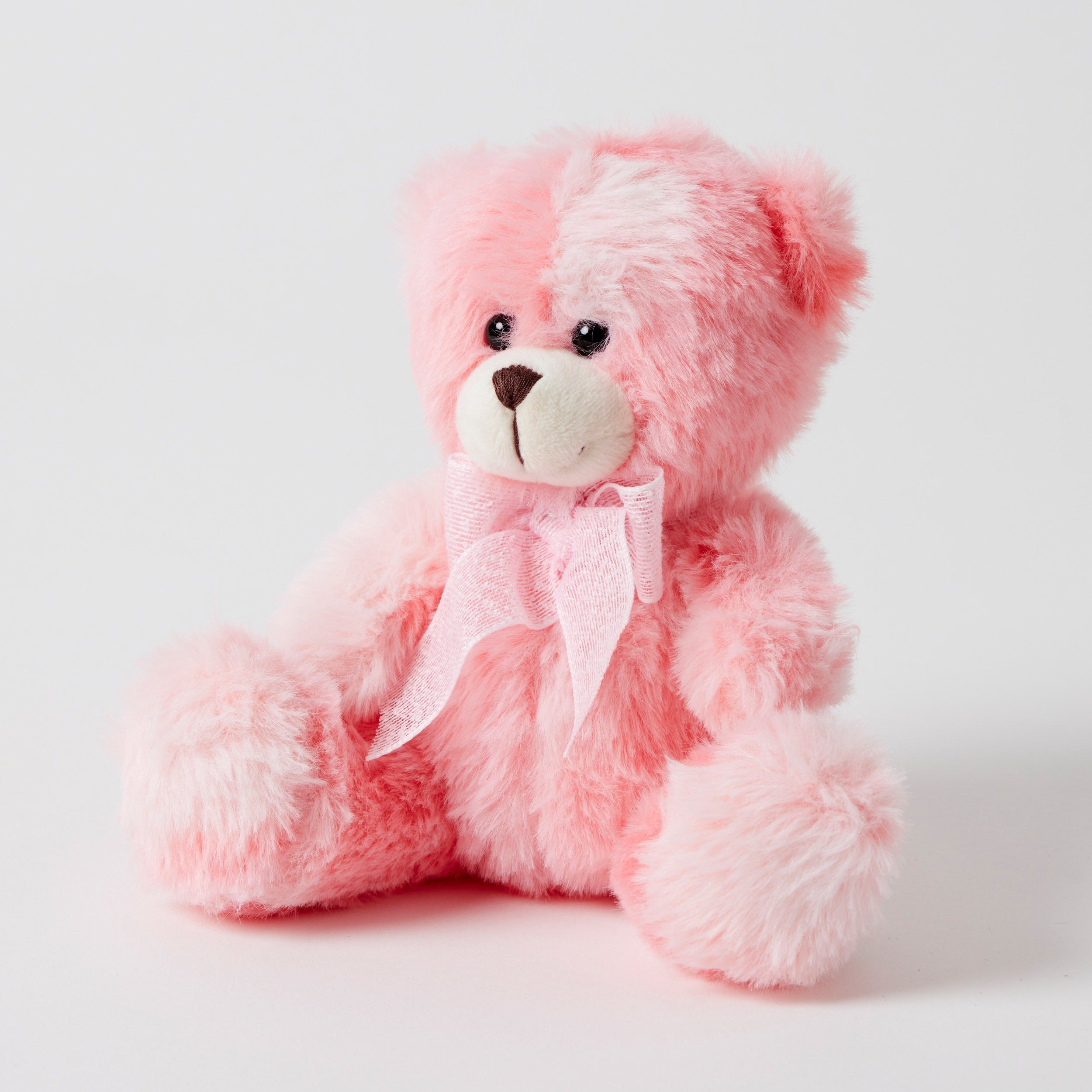 Rainbow Bear