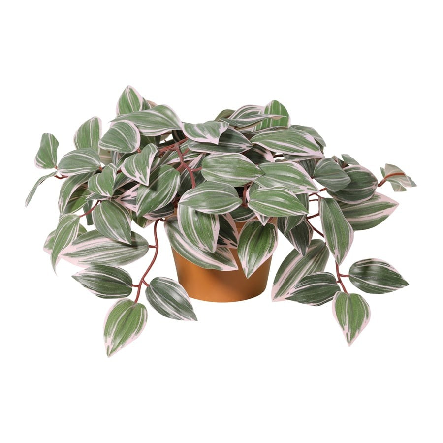 25cm Potted Artificial Wandering Dude Plant