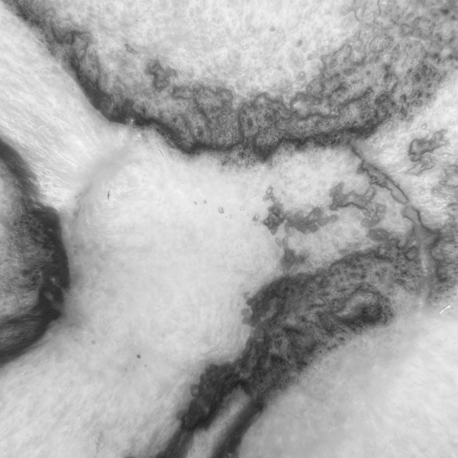 Orion Salad Bowl Grey Stone Matt