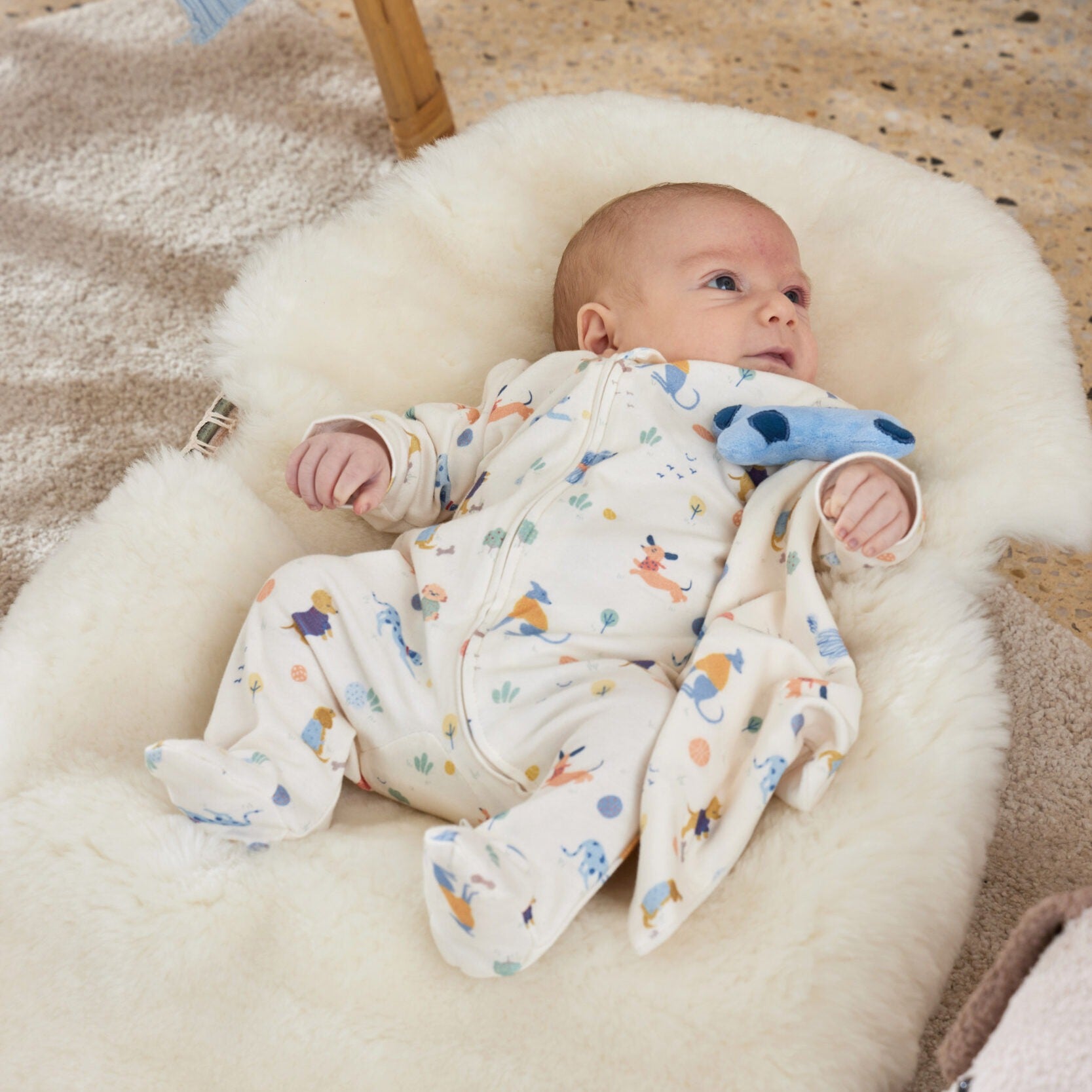 Woof & Wander Jersey Comforter