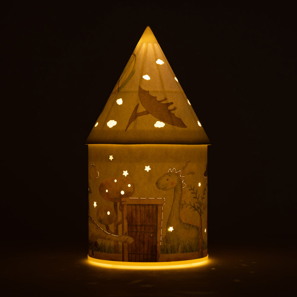 Dinasaur Light Up House