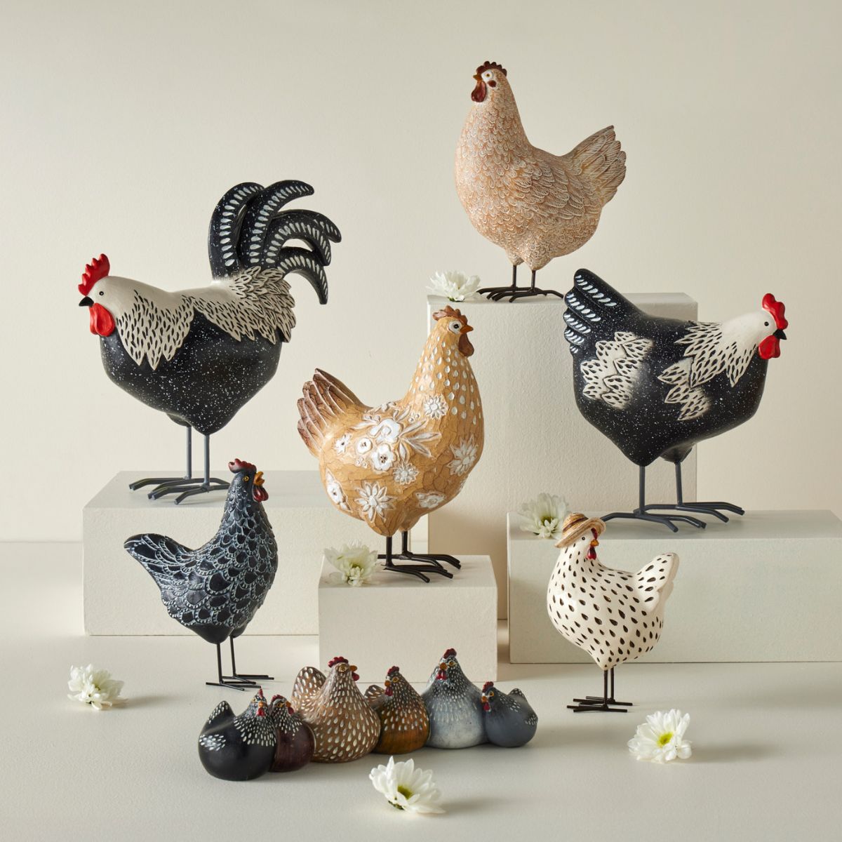 Chickira Chook
