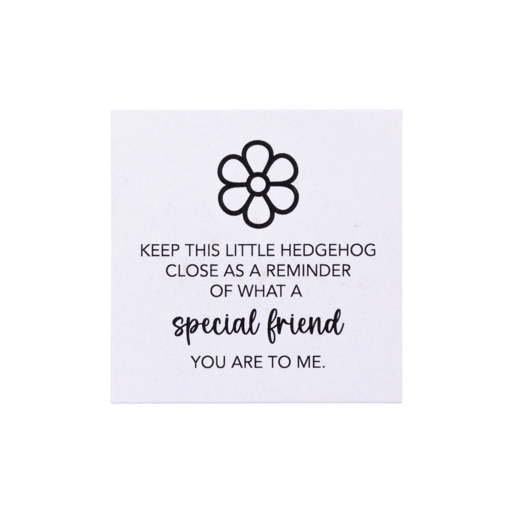 Friends Pocket Promise