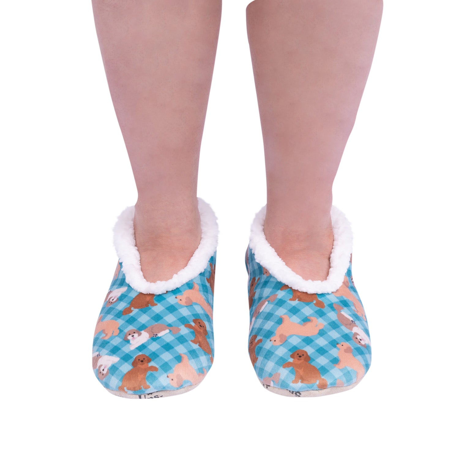 Women's Pet Cavoodle Slipper