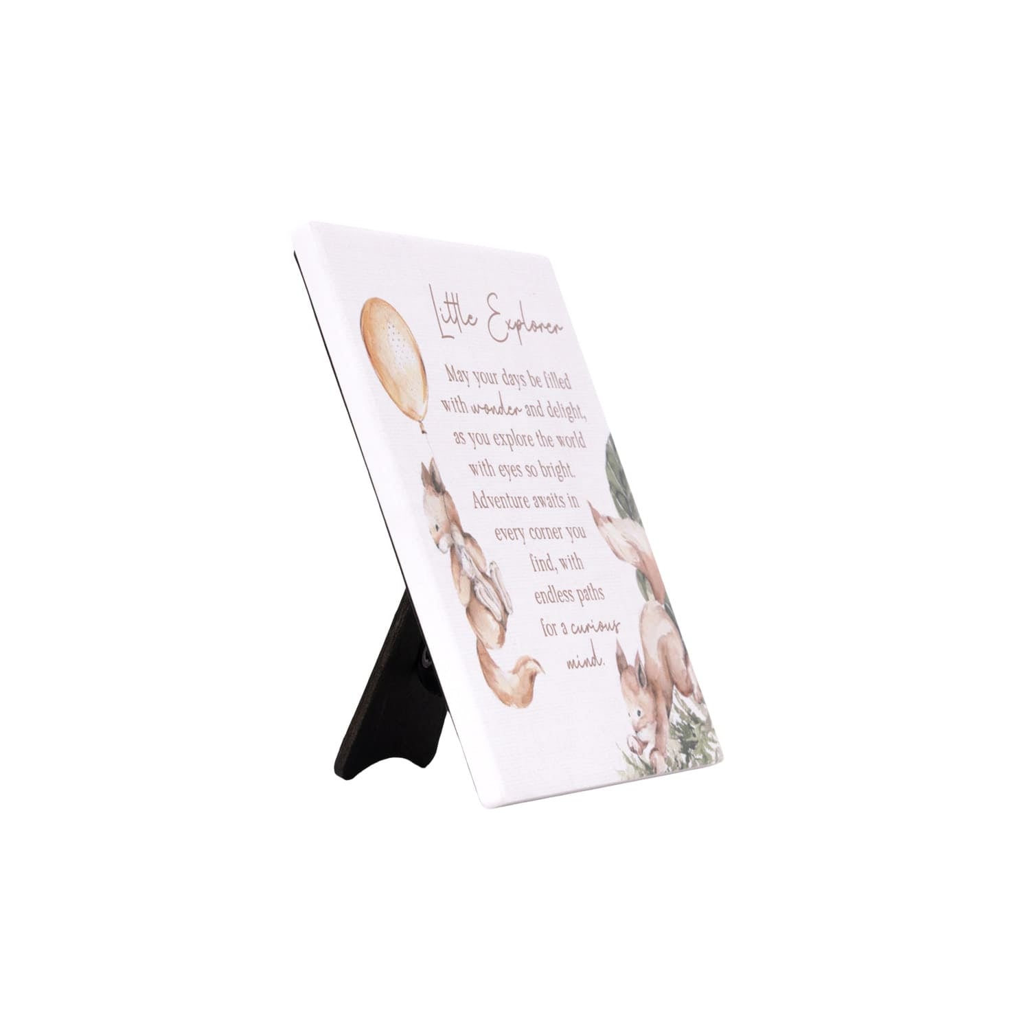 Tiny Wonders Explorer Verse