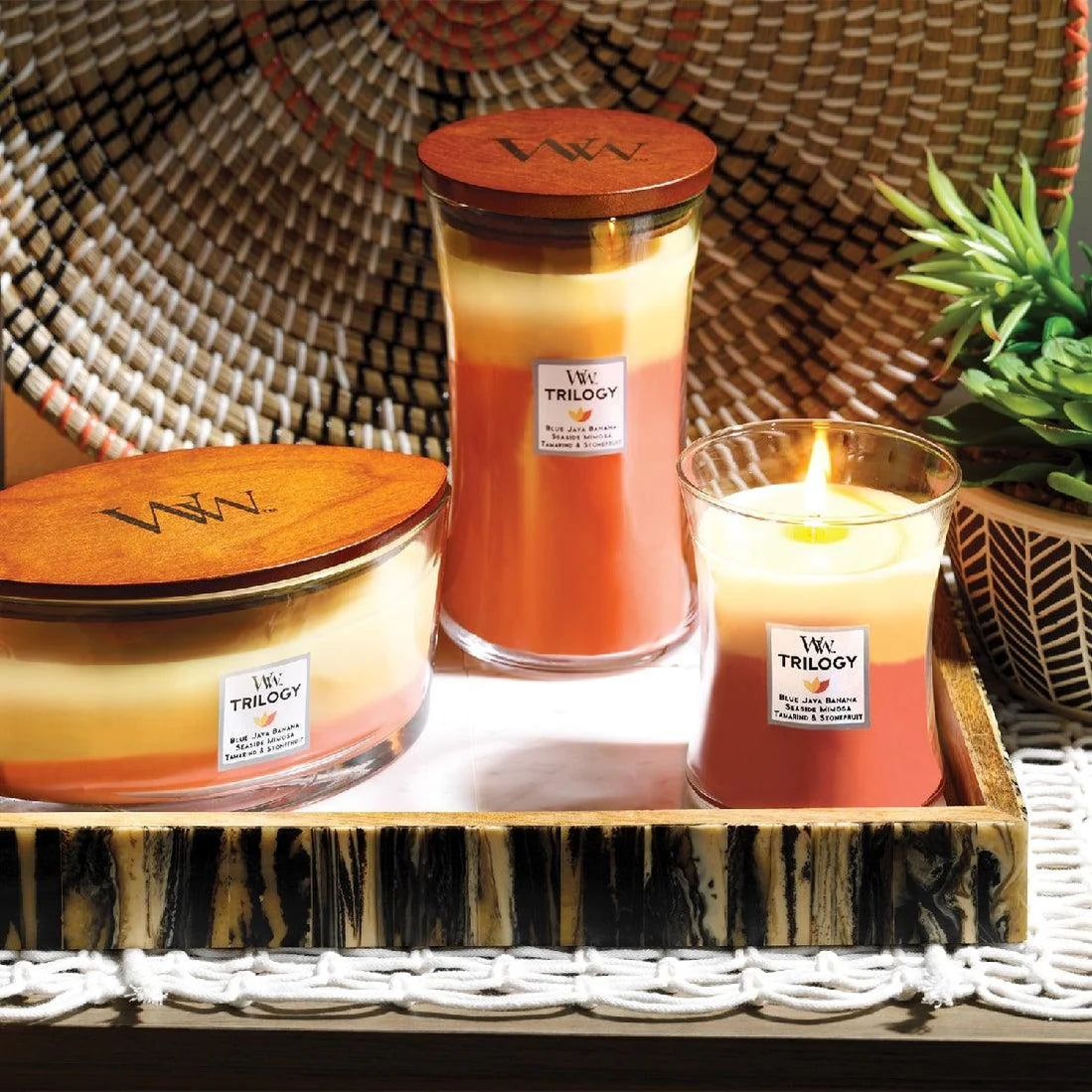 Tropical Sunrise Trilogy Candle