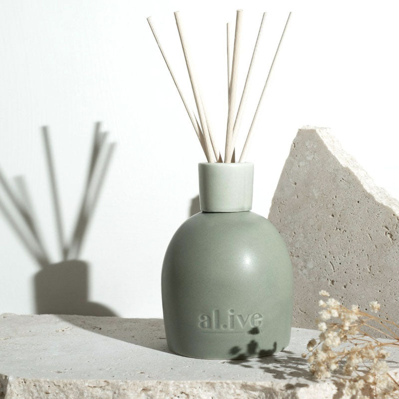 Blackcurrant & Caribbean Wood Ceramic Diffuser