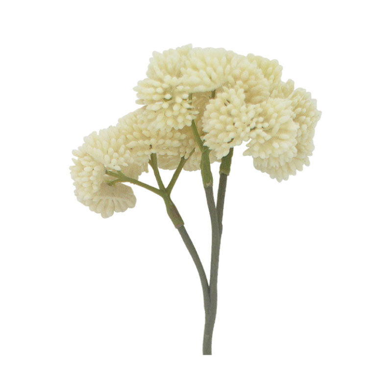 Detoo Sedum Spray 46cm Cream