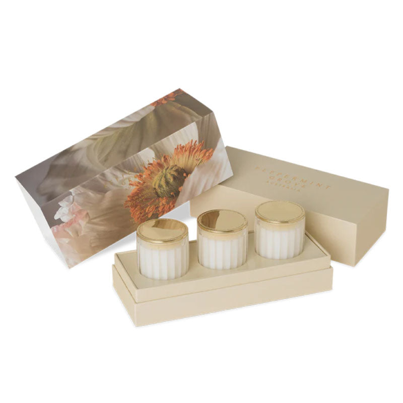 In Bloom Limited Edition Mini Trio Gift Set
