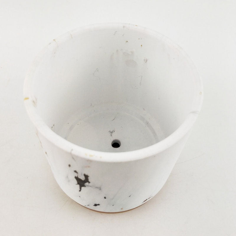 McKenna Pot