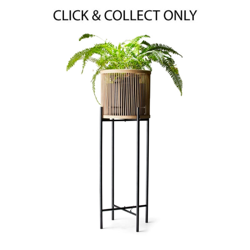 Rhythm Plant Stand Natural