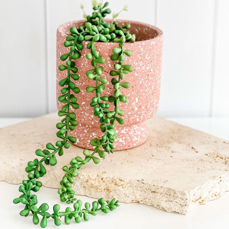 String of Pearls Green
