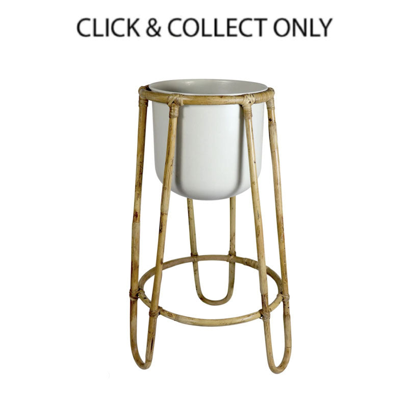 Wembley White Rattan Plant Stand – Changing Seasons